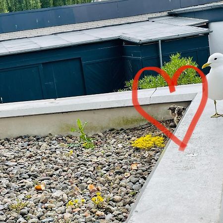 Apartment Mövenkoje für 1-2 Personen mit Pool Dahme  Buitenkant foto